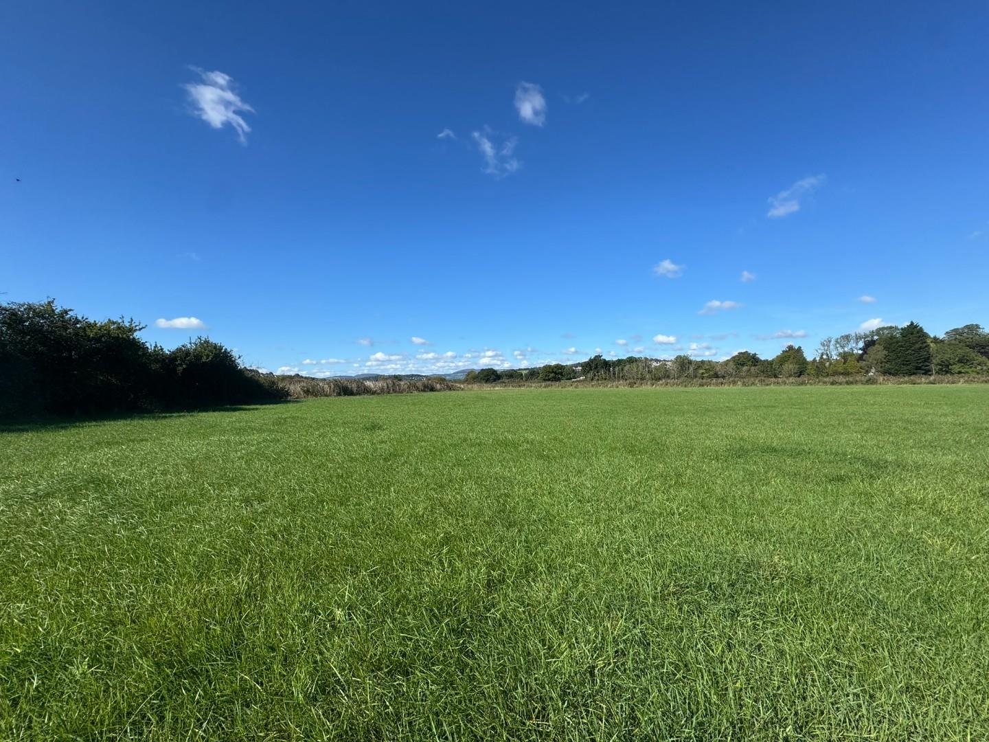 Approx 8.94 acres of land on East and West of Caerleon Road, Caerleon, Newport NP18 1QB